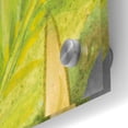 thumbnail image 2 of Epic Art 'Red Tropical Flowers II' by Tim O'Toole, Acrylic Glass Wall Art, 24"x36", 2 of 3