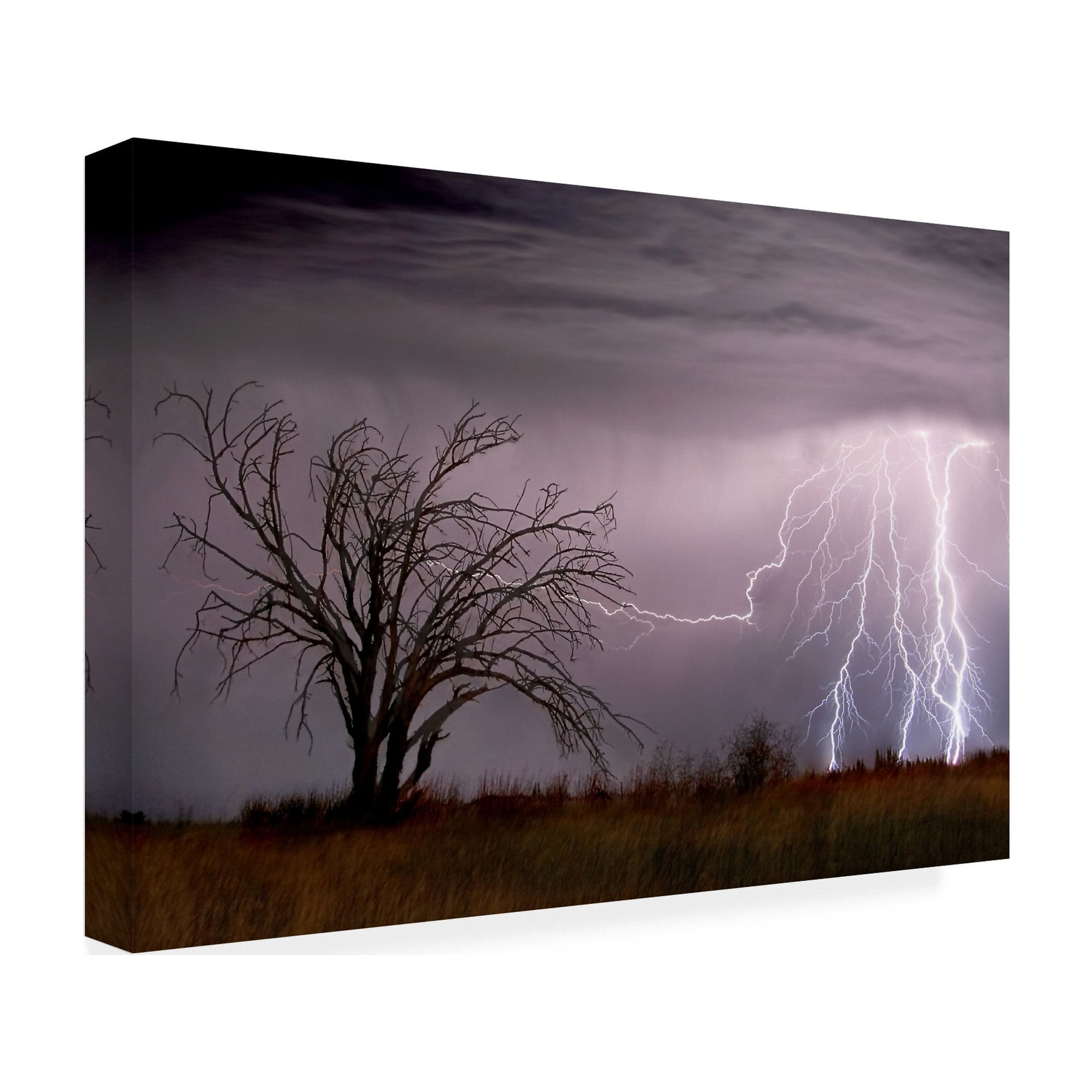 Wayne Bradbury Photography 'Lightning' Canvas Art