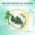 thumbnail image 3 of Bombas de vapor para ducha Maybeluck con eucalipto y menta, paquete de 7, 3 of 9