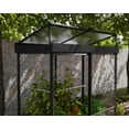 thumbnail image 6 of Palram - Canopia Ivy 4' x 2' Polycarbonate/Aluminum Mini Greenhouse - Black, 6 of 11