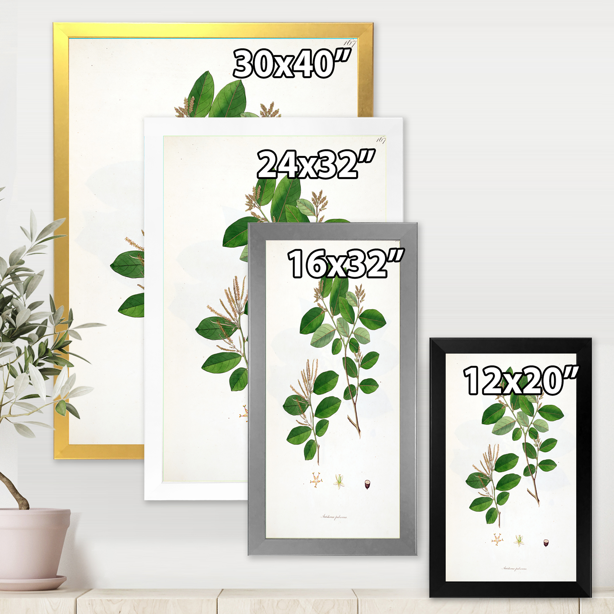 Designart 'Ancient Plant Life XIX' Farmhouse Framed Art Print