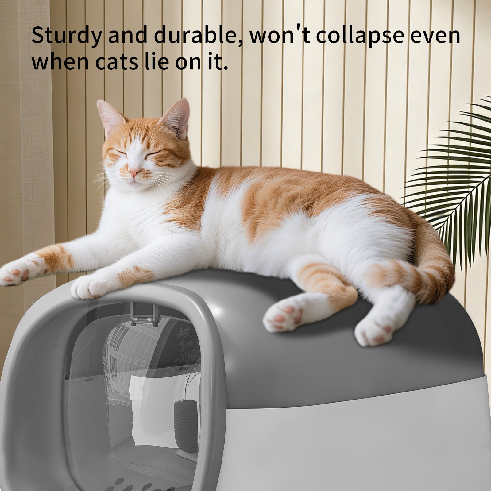Open Design Transparent Cat Litter Box, Large Capacity Easy Entry Kitty Litter Pan with Cleaning Scoop, Sleek Modern Decorative Pet Toilet for Indoor Cats