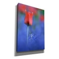 thumbnail image 2 of Epic Graffiti 'Tulip No 3' by Istvan Nagy, Canvas Wall Art, 18"x26", 2 of 2