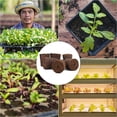 thumbnail image 4 of Esponjas de Cultivo de Plantas para JardíN Esponja Inteligente de JardíN Interior HidropóNico con Nutrientes CáPsula de Cultivo de Repuesto, 4 of 5