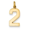thumbnail image 5 of 14k Yellow Gold Casted Medium Polished Number 2 Charm Pendant, 5 of 7