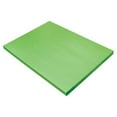 thumbnail image 1 of Dixon Ticonderoga PAC9618 18 x 24 Pouces Papier de Construction&44; Vert Vif - 100 Feuille, 1 of 4