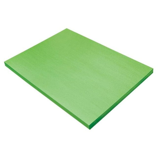Dixon Ticonderoga PAC9618 18 x 24 Pouces Papier de Construction&44; Vert Vif - 100 Feuille
