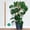 35in * 1, variant on Moss Pole Monstera Plant Support, 28in Bendable & Sturdy Plant Holder Stick for Pothos Vines, Philodendron, Fishbone Cactus & Indoor Tropical Houseplants, Made for Coco Coir