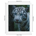thumbnail image 2 of Paint by Numbers Kit for Adults, White Tiger Blue Eyes Nature Scene Paint by Numbers, Easy Paint by Numbers Kit for Adults Beginner, DIY Adult Paint by Number Kits on Canvas, Home Decor, 2 of 7