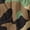 Green Camo, variant on Sleep Zone Twin Kids Bedding Comforter Set, 5 Piece Boy Cool Durable Children Bed in a Bag, Dinosaur World