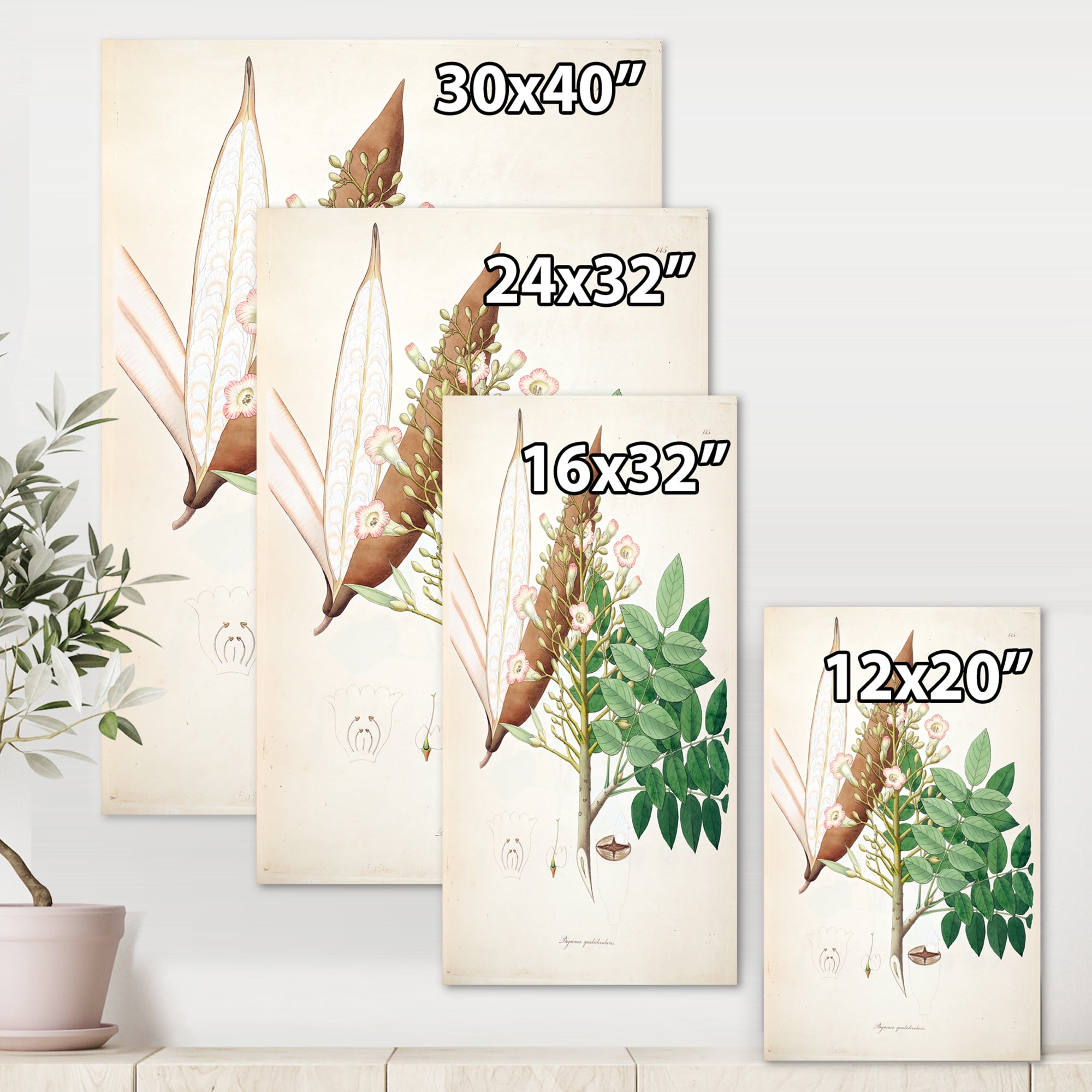 Designart ' Ancient Botanicals IX ' Farmhouse Canvas Wall Art Print