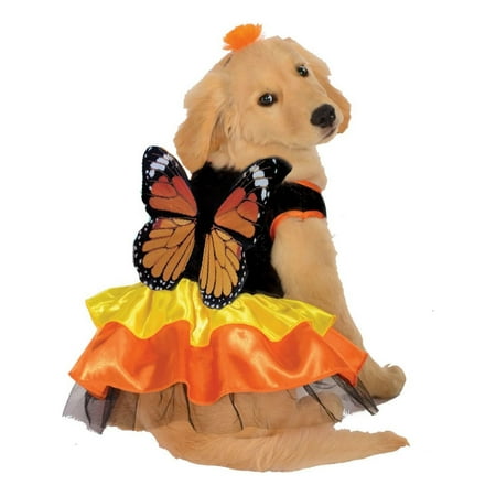 Halloween Monarch Butterfly Pet Costume