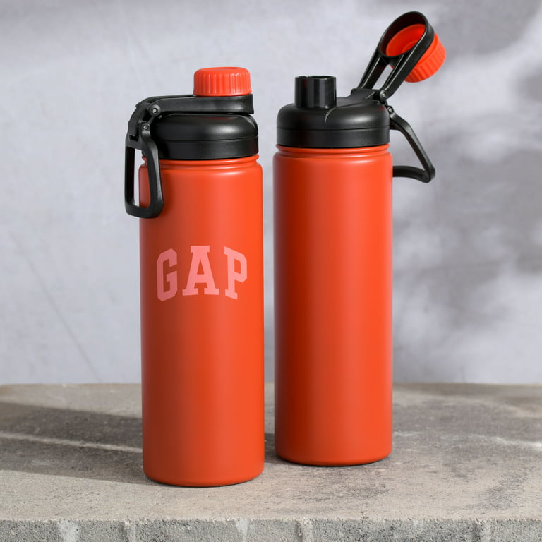 Gatorade -fl oz Stainless Steel Insulated Water Bottle (2-Pack) in the Water  Bottles & Mugs department at