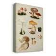 thumbnail image 2 of Mushroom Species IV Premium Gallery Wrapped Canvas - Ready to Hang, 2 of 9