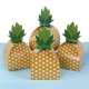 thumbnail image 4 of 100 Piezas Caja de Galletas de Caramelo de Piña Caja de Embalaje de Regalo de Fiesta Hawaiana Bolsa Luau Decoración de Boda de Cumpleaños de Verano, 4 of 5