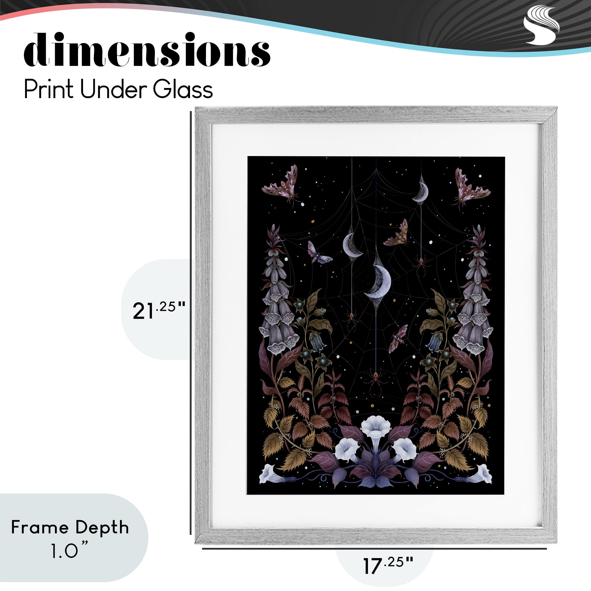 Stupell Industries Witch Garden with Spider Webs Gray Framed Print Under Glass, design by Episodic Drawings