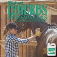thumbnail image 4 of Enjuague para después del entrenamiento Absorbine CoolDown, concentrado de hierbas, 946 ml, 4 of 6