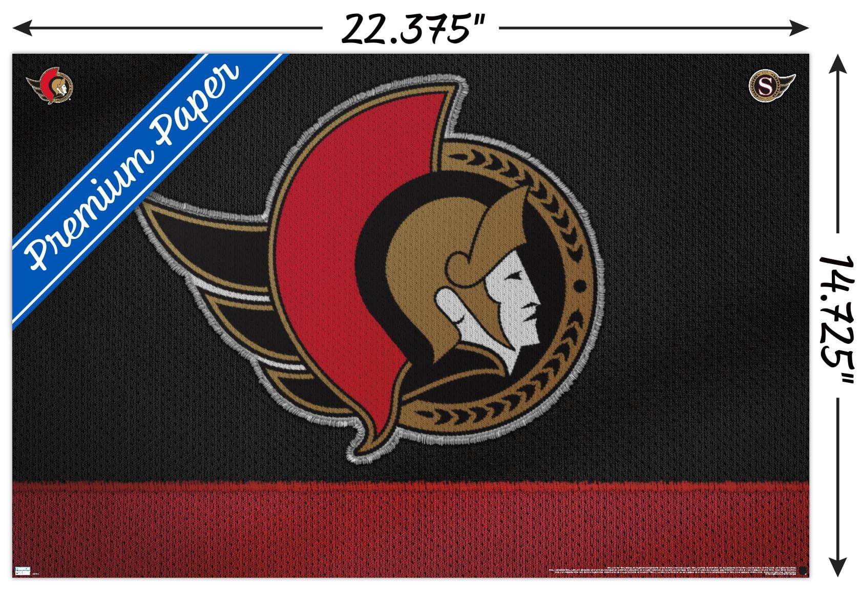NHL Ottawa Senators - Logo 20 Wall Poster, 14.725" x 22.375"