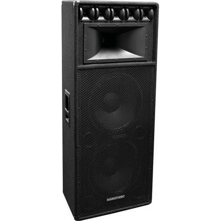 Dual 15-in Professional Speaker System w/17-in x 9-in Horn & Five 3.5-in Tweeters