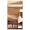 thumbnail image 2 of L'Oreal Paris ExcellenceAge Perfect Layered Tone Flattering Color, 6N Light Soft Golden Brown (Packaging May Vary), 2 of 5