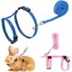 thumbnail image 1 of Azul + Rosa - Juego de 2 arneses para conejos, arnés para gatitos, arnés tipo chaleco ajustable para gatos, correa para perros pequeños, arnés de seguridad para cachorros y otras mascotas pequeñas., 1 of 5