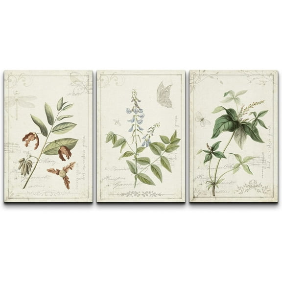 wall26 Canvas Print Wall Art Set Brown & White Victorian Style Flowers Nature Floral Illustrations Realism Rustic Scenic Colorful Wilderness for Living Room, Bedroom, Office - 16"x24"x3