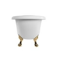 thumbnail image 2 of Charleston 67 Inch Acrylic Slipper Clawfoot Tub - Rim Faucet Drillings - Lion Paw Feet, 2 of 2