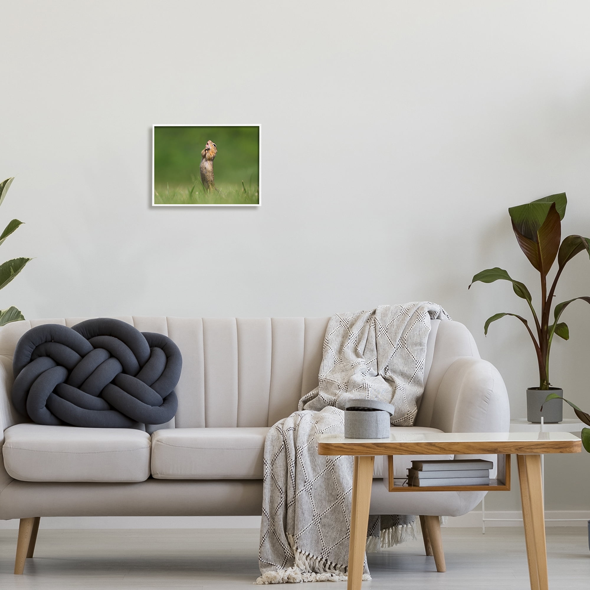Stupell Industries O Sole Mio Funny Animal Animals & Insects Photography White Framed Art Print Wall Art, 14 x 11