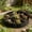 Black, variant on 10 Gallon Plant Grow Bag, Non Woven Fabric Round Raised Garden Bed Planter Pots, Planters Aeration Gardening Container for Planting Herb Flower Vegetable Potato Plants