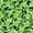 Pale Green White, variant on Castle Fairy Hunting Camo Wildlife Zipper Twin Comforter Sets with Fitted Sheet and 2 Pillowcases,Deer Bear Turkey Dog Silhouette Zipper Bedding Set,Khaki Brown Green,Black Reversible,4-Piece
