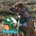 thumbnail image 5 of Embark Urban Dog Harness, No-Pull Reflective Trim Dog Harness for Small, Medium & Large Dogs - Military Grade Nylon, 2 Leash Clips & Gel Lined Handle. Soft & Padded Puppy Dog Vest for Any Breed, 5 of 9