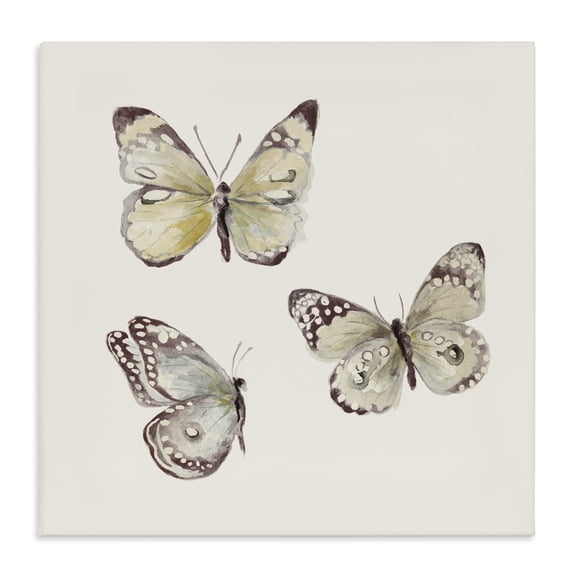 Stupell Industries Transitional Delicate Butterflies on Beige Canvas Art, 17 x 17, by Patricia Pinto