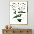 thumbnail image 2 of Designart 'Ancient Plant Life XXII' Traditional Framed Canvas Wall Art Print, 2 of 5