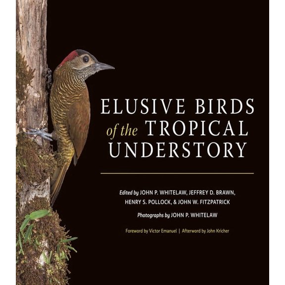 Elusive Birds of the Tropical Understory (Other)