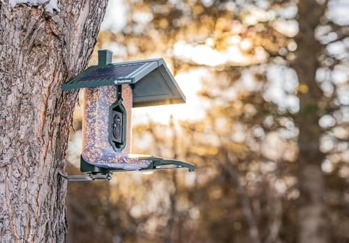 Feathersnap Smart Bird Feeder with AI Identification & HD Camera  Solar-Powered Wi-Fi Feeder Sends Photos & Videos to Your Phone  Includes Pole Mount, Bird Seed, 32GB SD Card, & Cleaning Cloth
