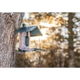 thumbnail image 3 of Feathersnap Smart Bird Feeder with AI Identification & HD Camera  Solar-Powered Wi-Fi Feeder Sends Photos & Videos to Your Phone  Includes Pole Mount, Bird Seed, 32GB SD Card, & Cleaning Cloth, 3 of 9