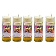 thumbnail image 1 of Veladora Gel Destrancadera 20 Pack Obstaculos Preparada, 1 of 4