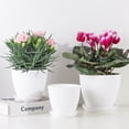 thumbnail image 2 of Round Planters for Plants – Flower Pots with Tray for Succulents, Office & Garden, 2 of 6