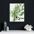 thumbnail image 4 of COMIO  Botanical Prints Plant Pictures Wall Art, Botanical Decor, Eucalyptus Decor, Plant Wall Decor, Botanical Wall Art, Plant Prints, 4 of 4