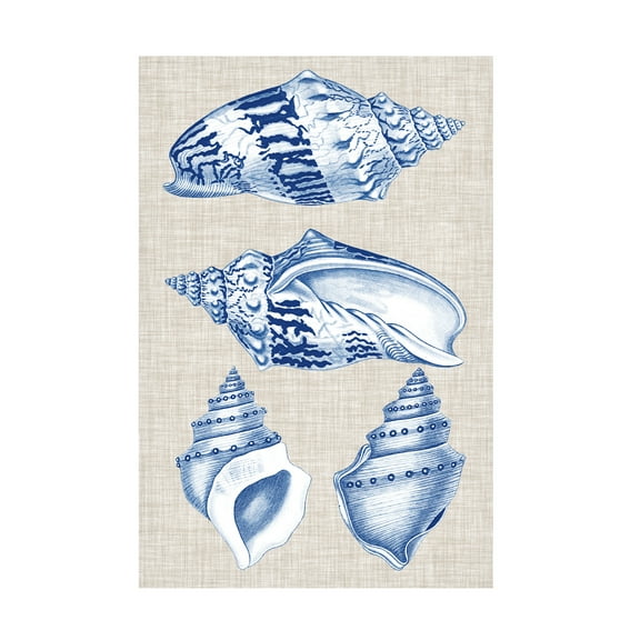 Vision Studio 'Navy And Linen Shells II' Canvas Art