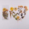 thumbnail image 1 of 6pcs/pack Flower Shop Series Decorative Stickers - Perfect for Scrapbooking, Labeling, Diary Albums & More!, 1 of 5