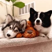 Original Snuggle Puppy Heartbeat Stuffed Toy for Dogs. Pet Anxiety Relief and Calming Aid, Comfort Toy for Behavioral Training in Brown