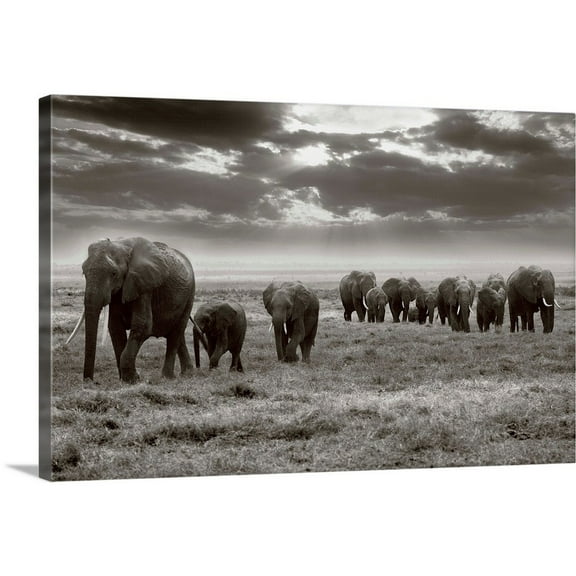 Great Big Canvas "Amboseli Elephants" by Jorge Llovet Black White Wrapped Canvas Print Wall Artwork