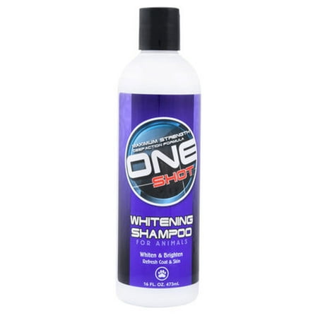 One Shot Whitening Shampoo - 16 oz One Shot Whitening (Best Whitening Skin Care Products Reviews)