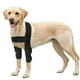 thumbnail image 1 of S Almohadillas protectoras transpirables para codo y hombro canino, higroma del codo, displasia, osteoartritis, 1 of 4