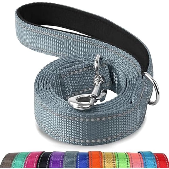 Eryueer Double-Sided Reflective Dog Leash, 6 FT/5FT/4 FT, Padded Handle Nylon Dogs Leashes for Walking, Training Lead for Medium & Large Dogs, Gray, 5FT