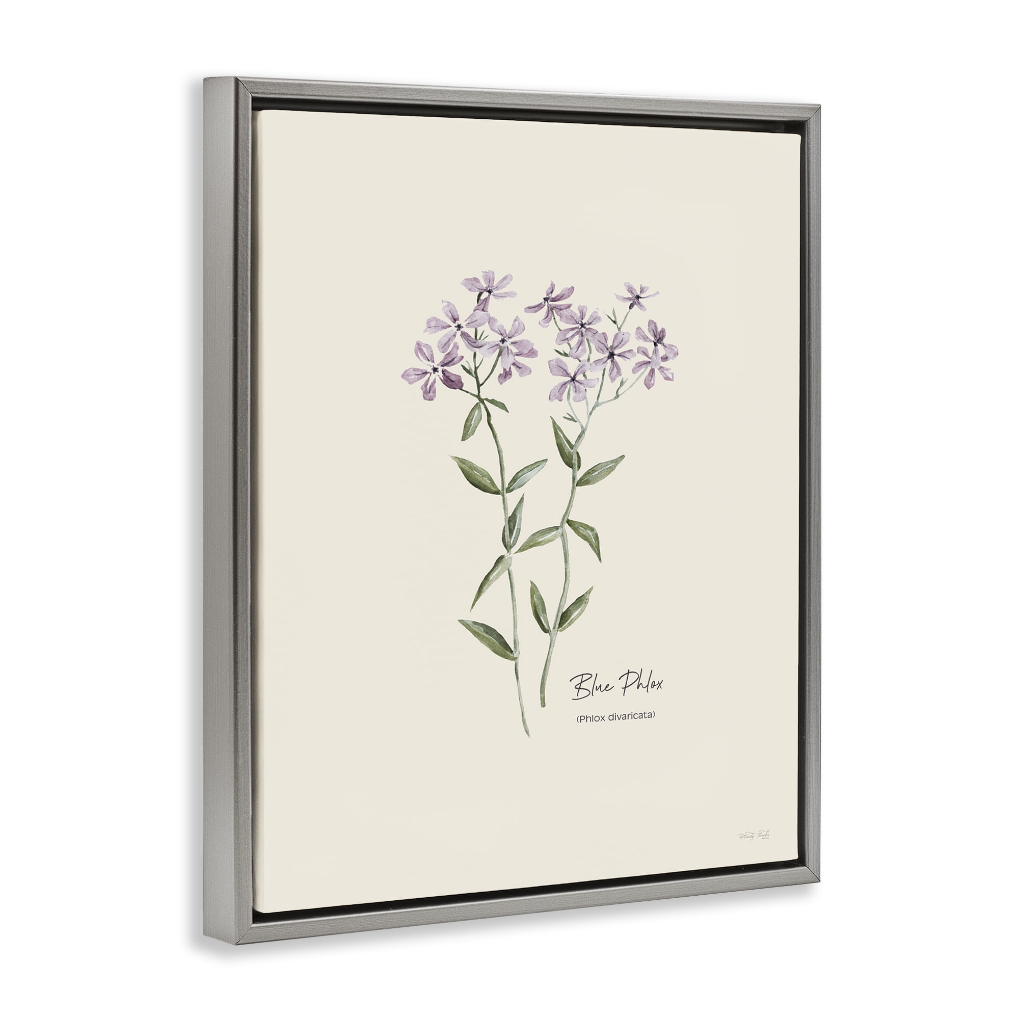 Stupell Industries Country Herb Diagram Botanical & Floral Painting Gray Floater Framed Art Print Wall Art, 25 x 31