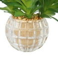 thumbnail image 2 of Set of 2 25" Tall Succulents Artificial Indoor/ Outdoor Faux Decor in Glass, 2 of 4