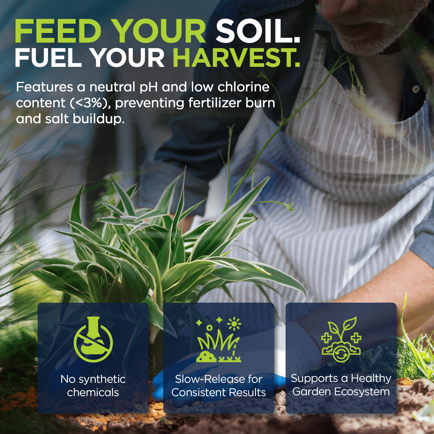 Supply Solutions | 0-0-22 Pro-Mag Trio - High Potassium, Magnesium & Sulfur Fertilizer for Lawns, Turf, Palm & Fruit Trees - Water-Soluble Plant Food for Stronger Growth & Higher Yields - 10lbs