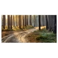 thumbnail image 2 of Road in Thick Morning Forest - Landscape Photo Canvas Art Print, 2 of 3